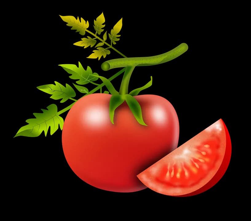 test-7